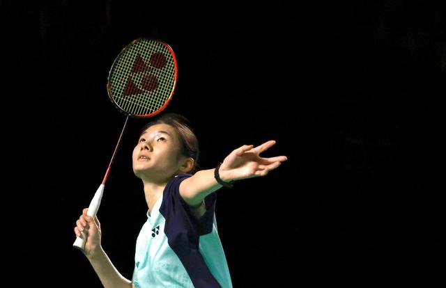 或可为小型 或可为小型